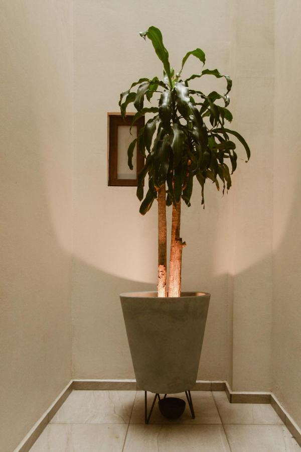 Oaxaca Hotel Guiva Aeropuerto מראה חיצוני תמונה