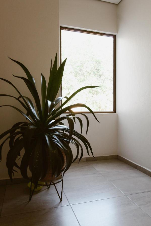 Oaxaca Hotel Guiva Aeropuerto מראה חיצוני תמונה